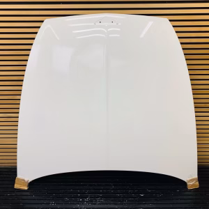 Bentley GT GTC bonnet 3SD823155