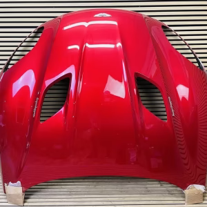Aston Martin DBS Superleggera hood